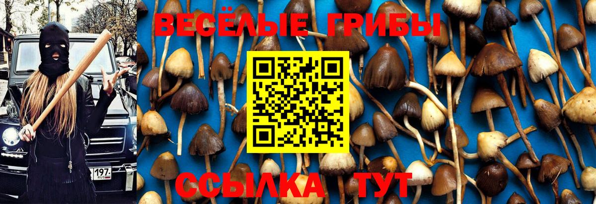 Галлюциногенные грибы Cubensis Кострома